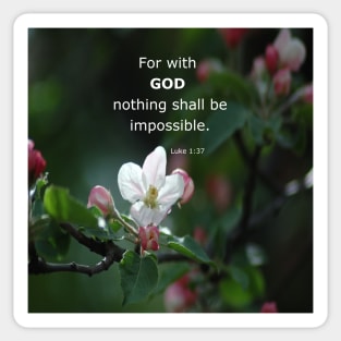 Luke 1:37 - For with God nothing shall be impossible -  Everythings Possible -  BibleVerse Scripture with Pretty White Flower Sticker